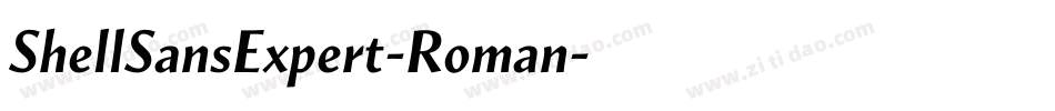 ShellSansExpert-Roman字体转换