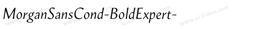 MorganSansCond-BoldExpert字体转换