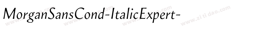 MorganSansCond-ItalicExpert字体转换