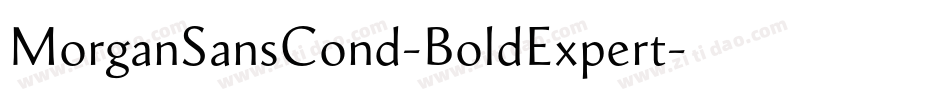 MorganSansCond-BoldExpert字体转换