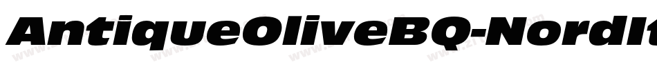 AntiqueOliveBQ-NordItalic字体转换