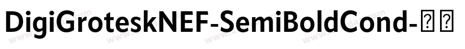 DigiGroteskNEF-SemiBoldCond字体转换