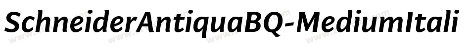 SchneiderAntiquaBQ-MediumItalic字体转换