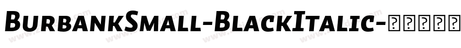 BurbankSmall-BlackItalic字体转换