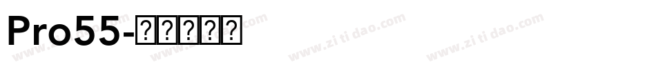 Pro55字体转换