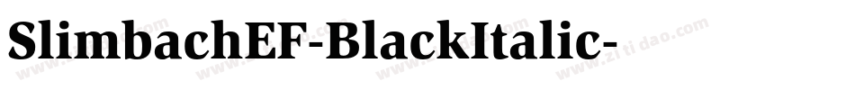 SlimbachEF-BlackItalic字体转换
