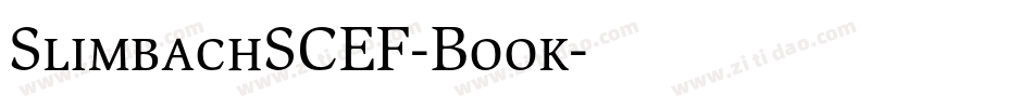SlimbachSCEF-Book字体转换