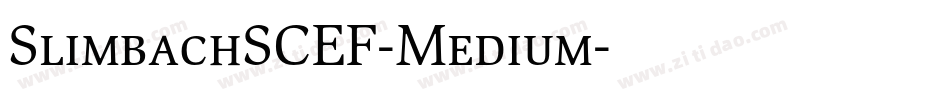 SlimbachSCEF-Medium字体转换