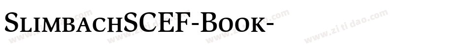 SlimbachSCEF-Book字体转换