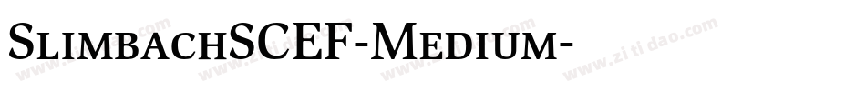 SlimbachSCEF-Medium字体转换