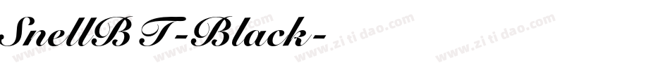 SnellBT-Black字体转换