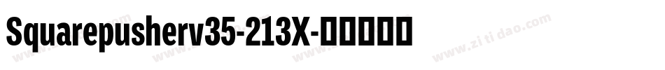 Squarepusherv35-213X字体转换
