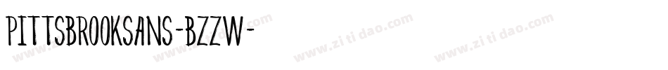 PittsbrookSans-Bzzw字体转换
