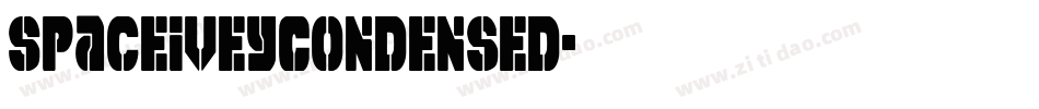 SpaceIveyCondensed字体转换