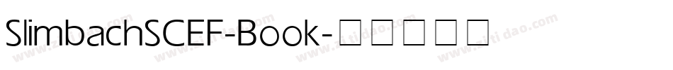 SlimbachSCEF-Book字体转换
