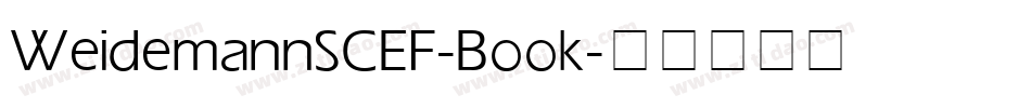 WeidemannSCEF-Book字体转换