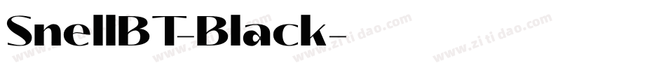 SnellBT-Black字体转换