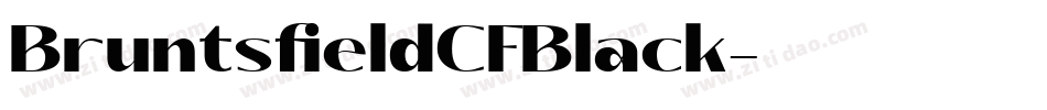 BruntsfieldCFBlack字体转换