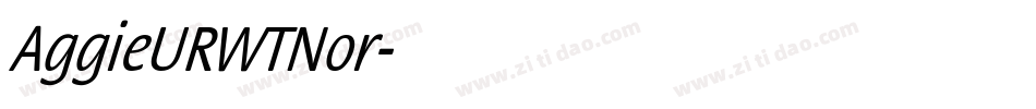 AggieURWTNor字体转换