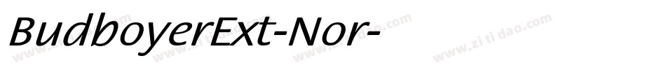 BudboyerExt-Nor字体转换