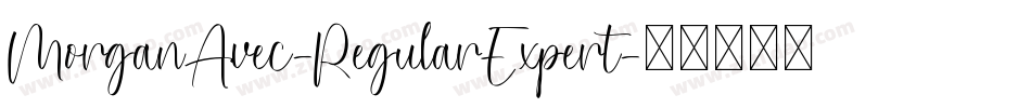 MorganAvec-RegularExpert字体转换