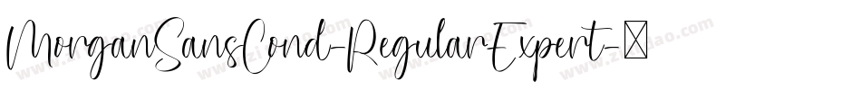 MorganSansCond-RegularExpert字体转换