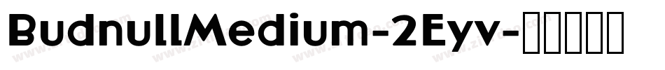 BudnullMedium-2Eyv字体转换