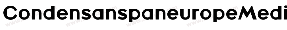 CondensanspaneuropeMedium-2Wa3字体转换
