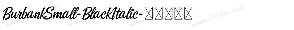 BurbankSmall-BlackItalic字体转换