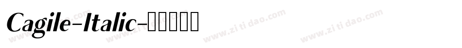 Cagile-Italic字体转换