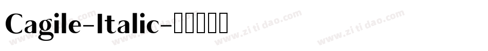 Cagile-Italic字体转换