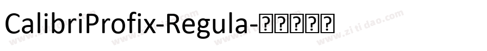 CalibriProfix-Regula字体转换