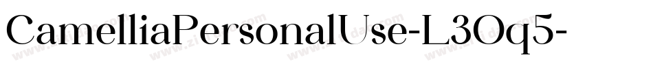 CamelliaPersonalUse-L3Oq5字体转换