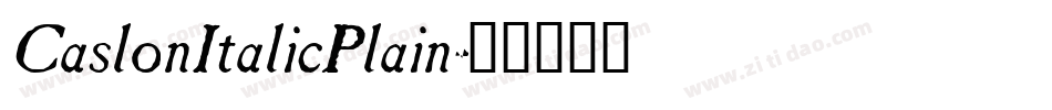 CaslonItalicPlain字体转换