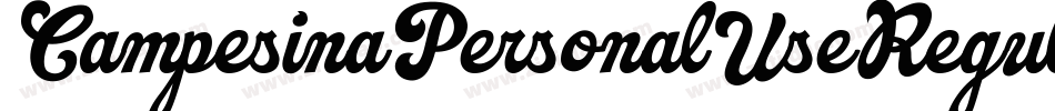 CampesinaPersonalUseRegular-w13Pw字体转换 CampesinaPersonalUseRegular-w13Pw字体转换
