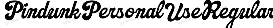 PindunkPersonalUseRegular-mv69字体转换 PindunkPersonalUseRegular-mv69字体转换
