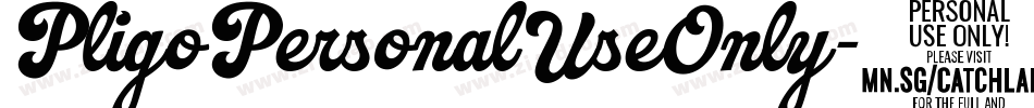 PligoPersonalUseOnly-41LB字体转换