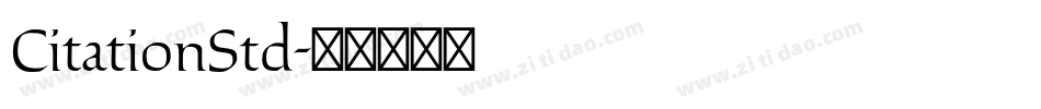 CitationStd字体转换