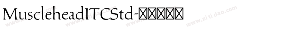 MuscleheadITCStd字体转换