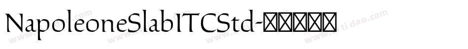NapoleoneSlabITCStd字体转换