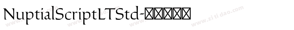 NuptialScriptLTStd字体转换 NuptialScriptLTStd字体转换