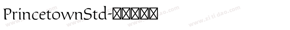 PrincetownStd字体转换