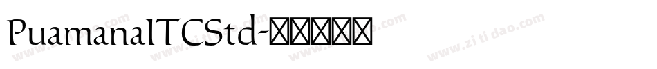 PuamanaITCStd字体转换