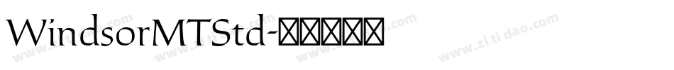 WindsorMTStd字体转换