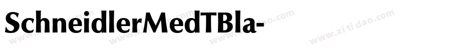 SchneidlerMedTBla字体转换