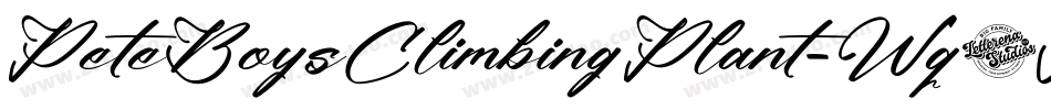 PeteBoysClimbingPlant-Wq4A字体转换