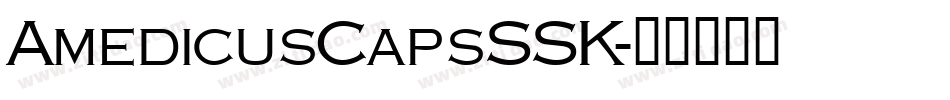 AmedicusCapsSSK字体转换