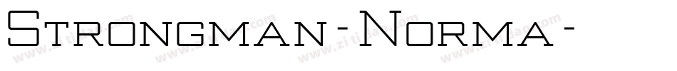 Strongman-Norma字体转换