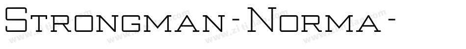 Strongman-Norma字体转换