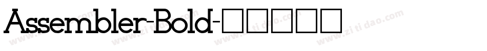 Assembler-Bold字体转换